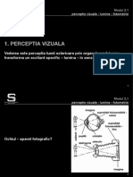 Perceptie Vizuala