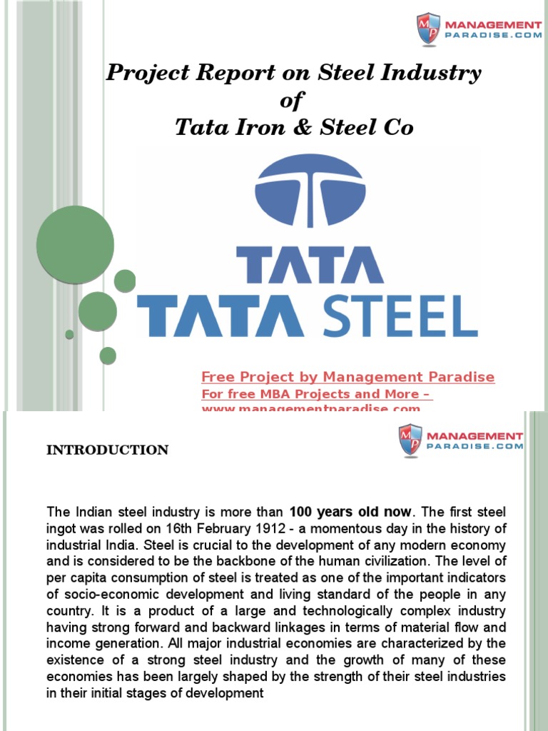 Project Report On Steel Industry of Tata Iron & Steel Co PDF Steel Economic Growth