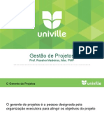 Gestão Projetos: Gerente Papel