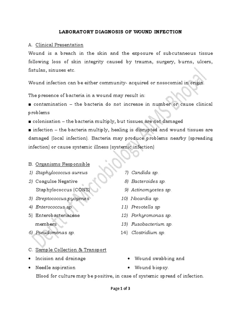 Lab Diagnosis of Wound Infection PDF Infection Wound