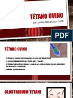 Tétano Ovino