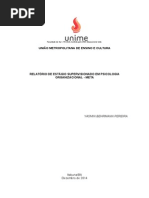 Download Relatrio de Estgio em Psicologia Organizacional - Yasmin Behrmann by Yasmin Behrmann SN268975391 doc pdf