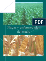 Plagas y Enfermedades Del Maiz