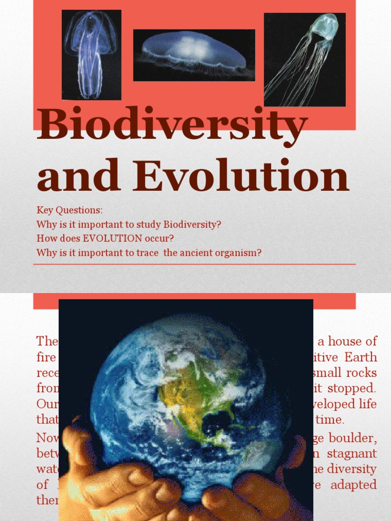 Importance of Biodiversity and Evolution | PDF | Extinction | Biodiversity