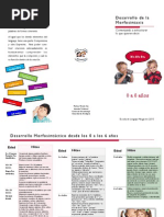 Tríptico Desarrollo Morfosintaxis