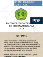 Sistem Reproduksi Manusia