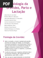 Fisiologia da Gravidez, Parto e Lactação.pptx