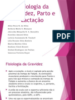 Fisiologia GRV Parto Lactação