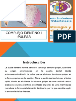 Pulpa Dental (1)