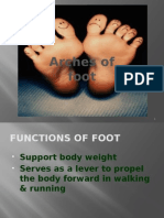 Arches of Foot PP