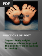 Arches of Foot PP