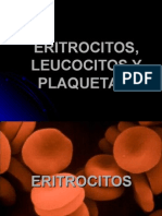 eritrocitosleucocitosyplaquetas-121124180451-phpapp01