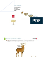 Niveles de Organizacion Ecologica