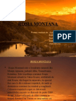 Rosia Montana Proiect Facultate Macroenomie