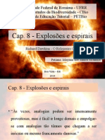 Apresentação cap.08 - Explosões e espirais