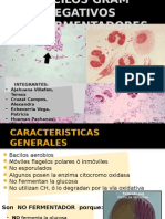 Bacilos Gram Negativos Expob