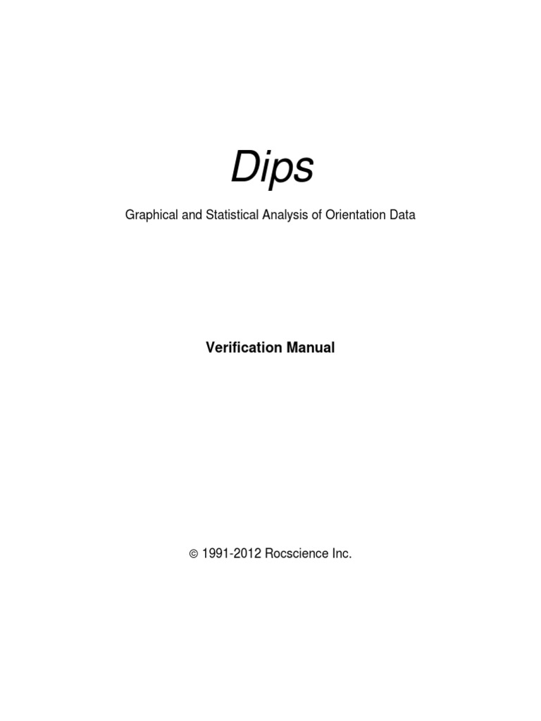 DIPS Verification Problem Overview | PDF