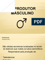 Reprodutor Masculino