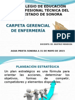 Carpeta Gerencial de Enfermería