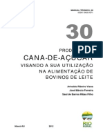 Producao Cana de Acucar