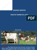 Rase Taurine PDF