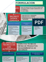 FORMULACION DE UN  PIP