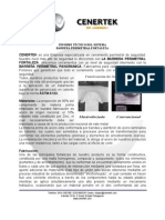 Informe Tecnico Cenertek PDF