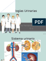 Patologías Urinarias
