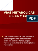 Vias Metabolicas C3, C4, CAM