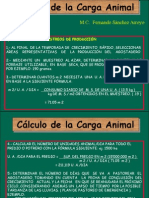 Calculo de Carga Animal