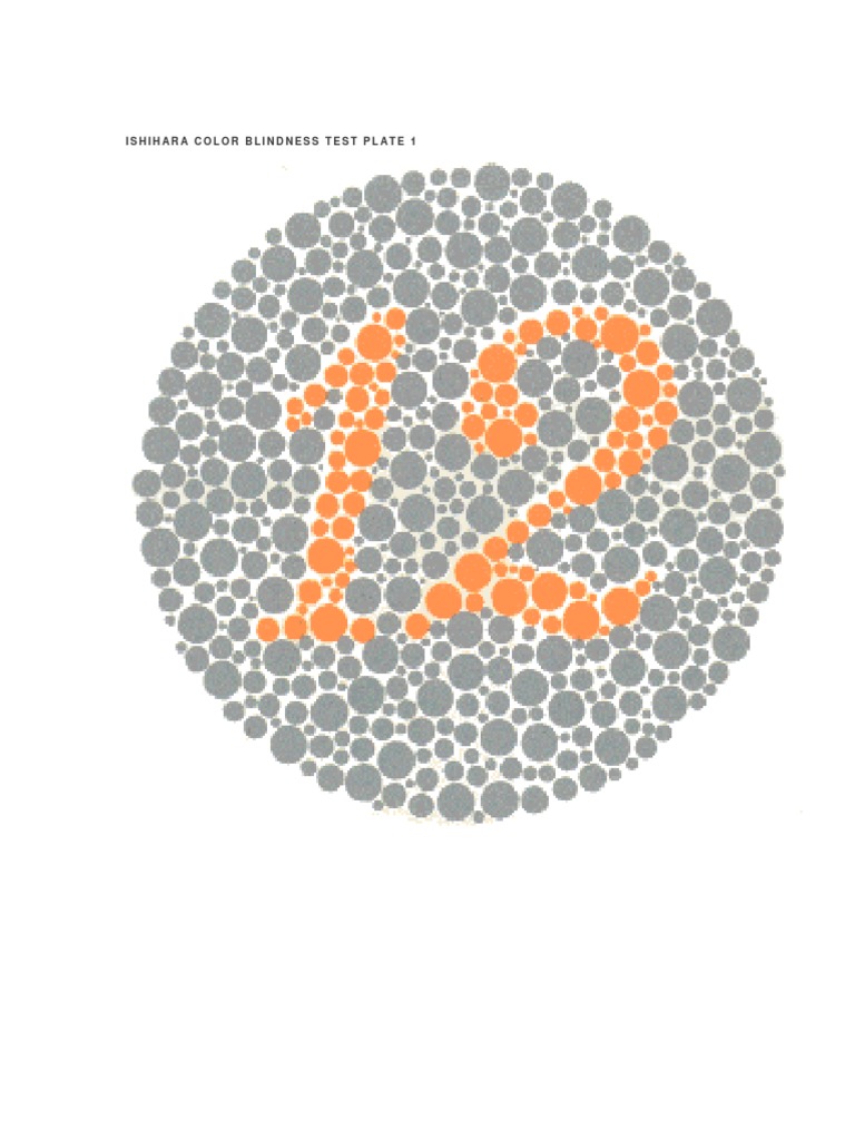 Ishihara Color Blindness Test Plates | PDF | Sports & Recreation ...