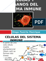 Celulas y Organos