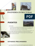 Ingenieria Estructural