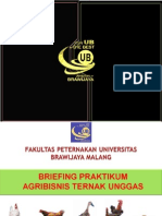 Breefing Pratikum Agri Unggas