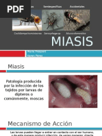Miasis Cutánea: Diagnóstico y Tratamiento | PDF | Especialidades ...