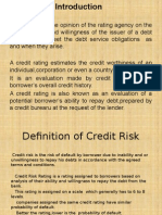 Credit Rating System