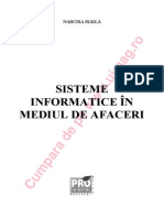 Sisteme Info Mediu de Afaceri