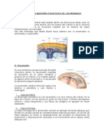 Meningoencefalitis Anatomia