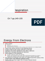 Energy and Cell Resp ETC and GLYCOLYSIS CH 7 Part 2