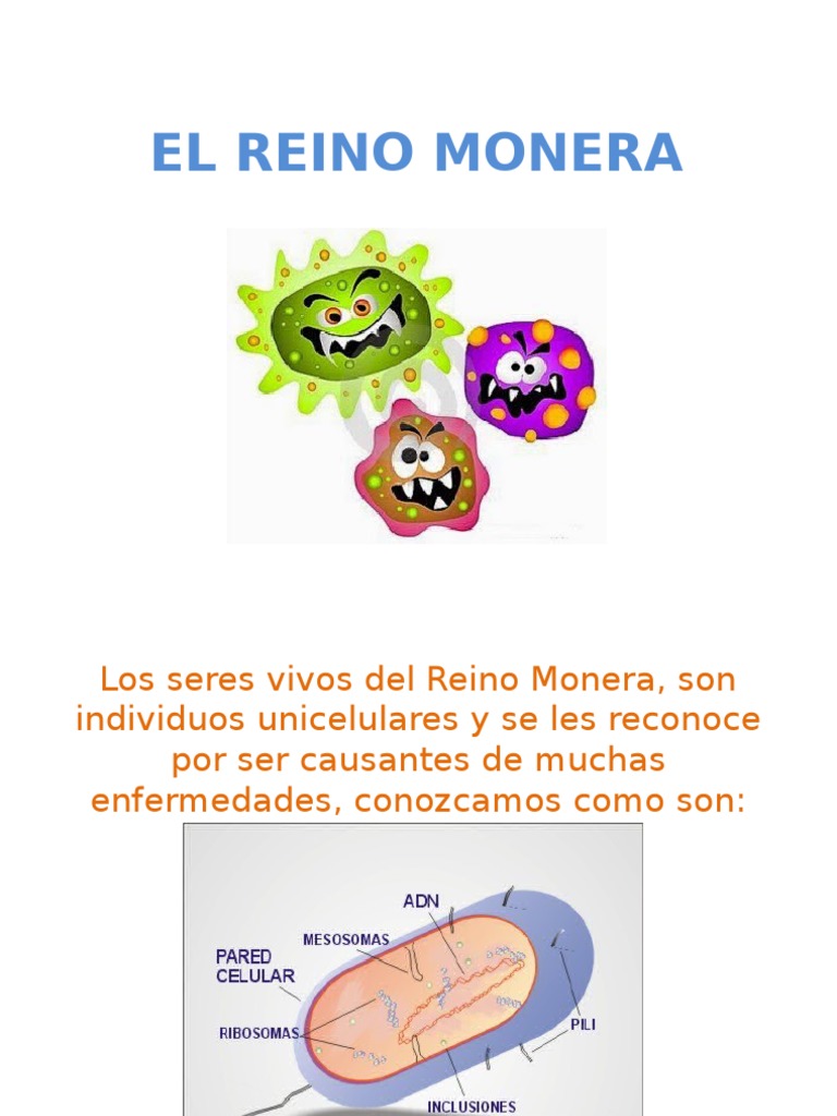 Clase Virtual El Reino Monera | PDF | Protozoos | Microorganismo
