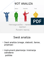 Swot Analiza - Fin