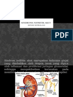 Sindroma Nefritik Akut