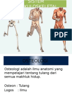 Sistem Muskuloskeletal