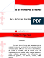 Sinantr+¦picos CV.ppt
