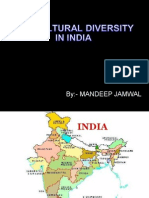 Land of Unity in Diversity (2)