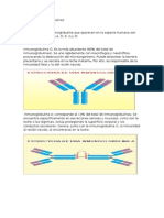 Tipos de Inmunoglobulinas