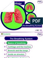 KS4 the Breathing System