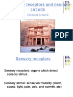 Sensory Receptors and Neural Circuits: Haytham Eloqayli