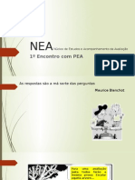 1º NEA Com PEA