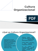 Cultura Organizacional 